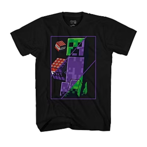 Other - Minecraft Boy black Short sleeve shirt